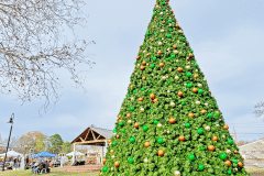 Ashland's Christmas Tree