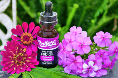 0% THC CBD Only Tincture
