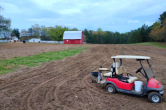 Our Planting  is Going Green