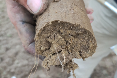 Rich in Nutrients 