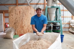Freshly processed hemp stalks into hemp hurd