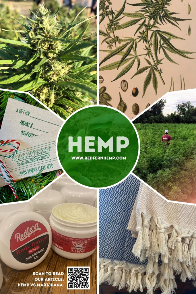 A19A78BB-4DCB-4299-993F-3F8971501BEB The Redfern Hemp vs Marijuana Article is the perfect place to begin your cannabis journey!