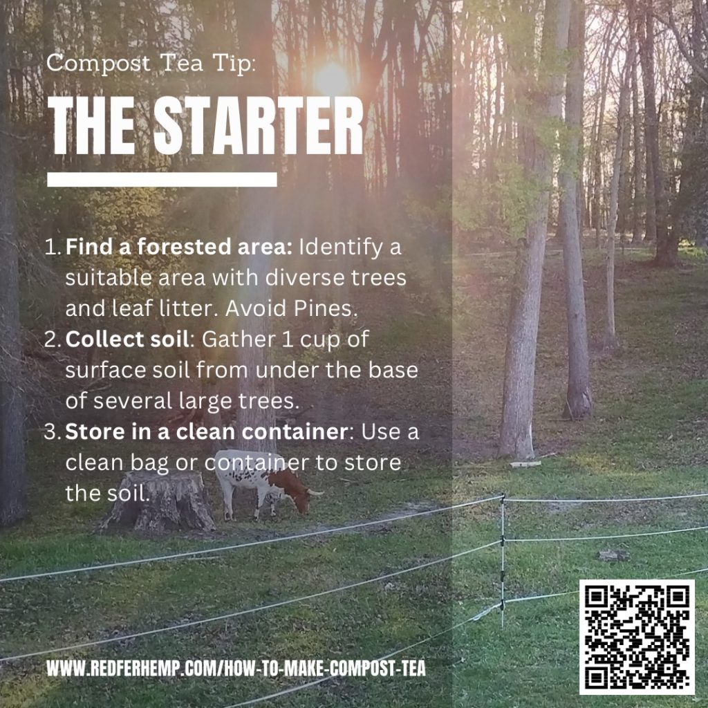 Learn how to make compost tea with nutrient-rich forest material - Redfern Cannabis Education