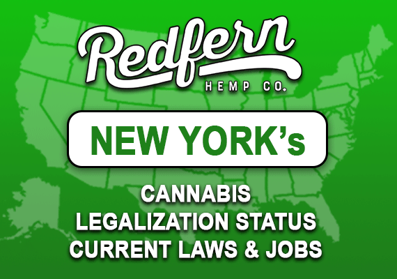 New York Cannabis Legalization Status, Current Laws and Job Prospects