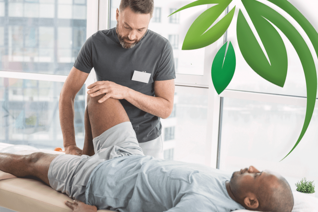 CBD Health Benefits for Chiropractors and Physical Therapist - Creams, Body Butter, Tinctures & Hemp Oil