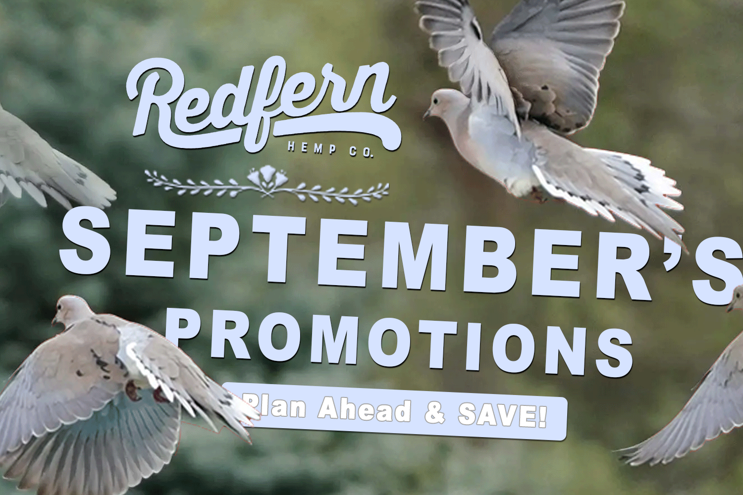 September Promotions - CBD savings, deals, discounts and hemp events - Redfern Hemp Co