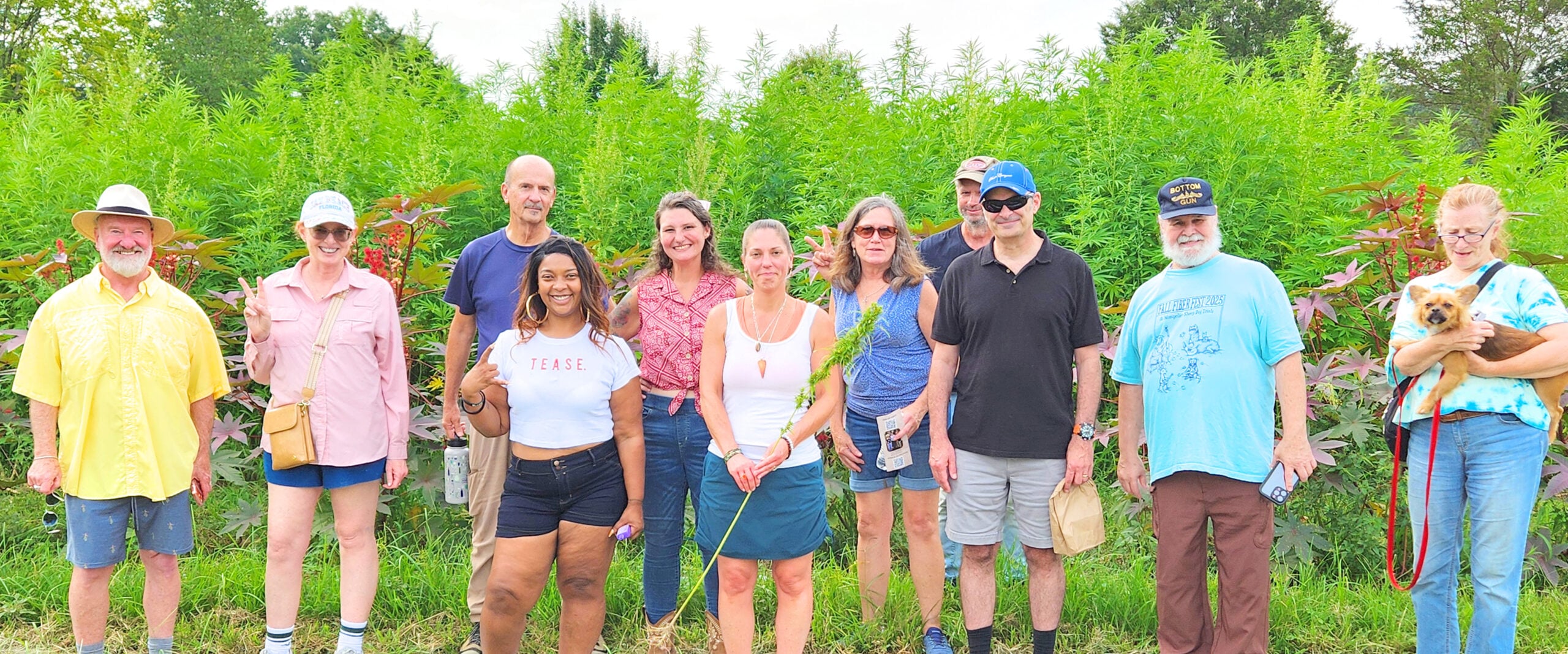 More Than Hemp Products: 10 Reasons Redfern Keeps Fighting